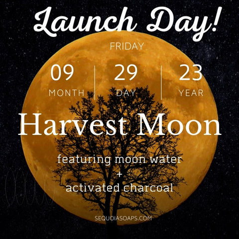 Harvest Moon Mini Soap **Limited Edition**